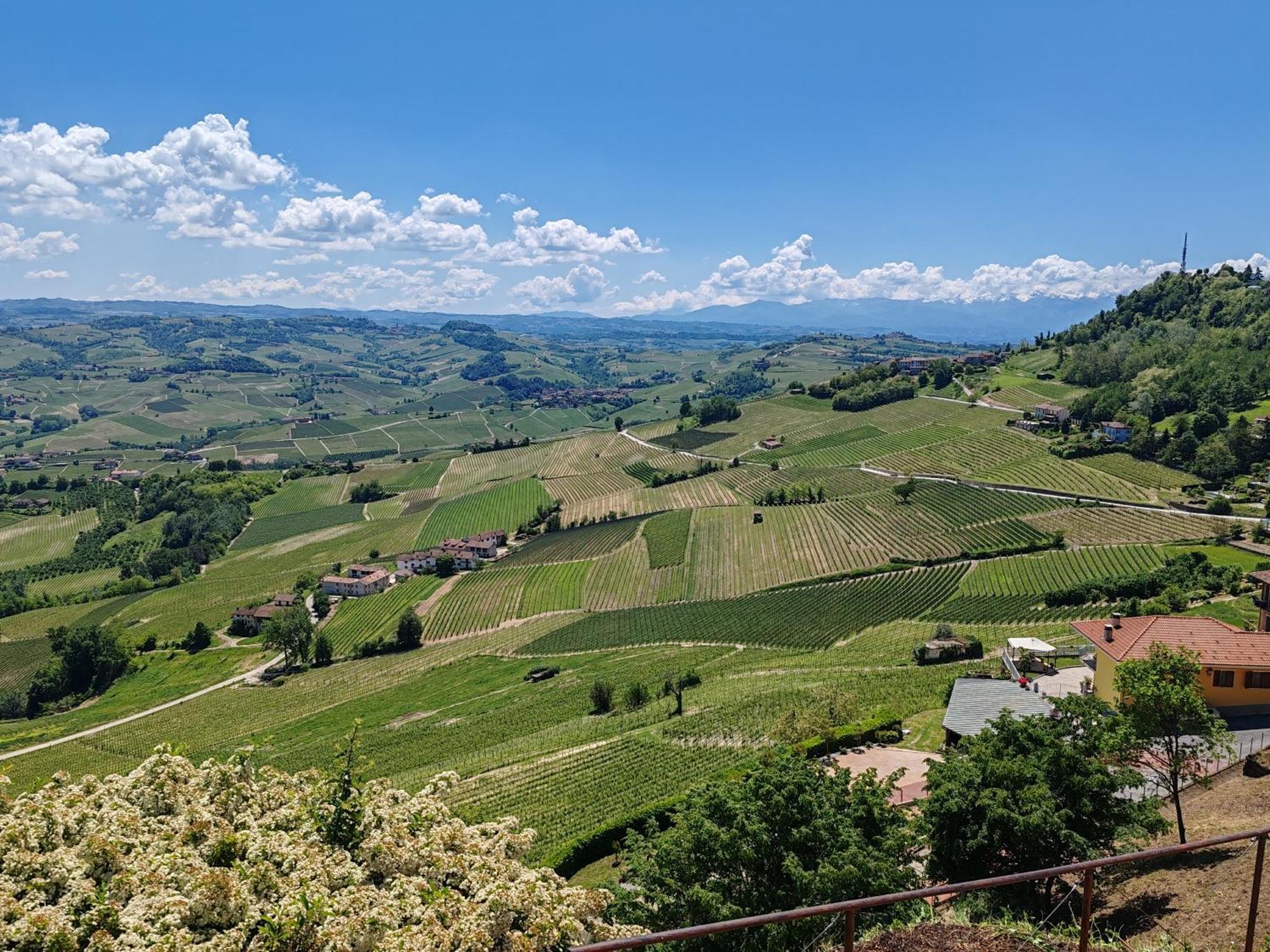 Tour In Langhe Appartement La Morra Buitenkant foto